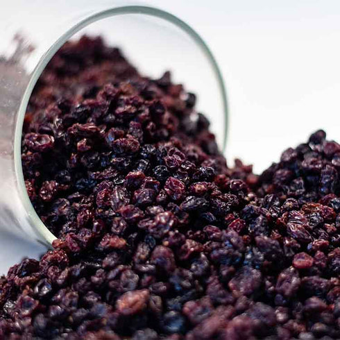 Healthy Master Premium Quality Dried Blackberries